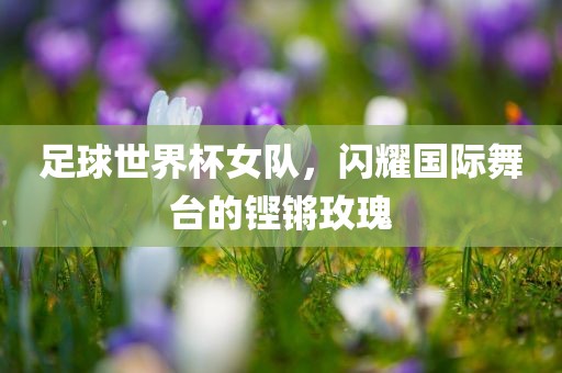 足球世界杯女队，闪耀国际舞台的铿锵玫瑰吉安市靖泰电力工程有限公司