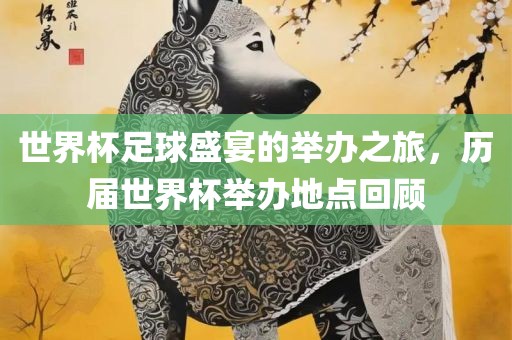 世界杯足球盛宴的举办之旅，历届世界杯举办地点回顾