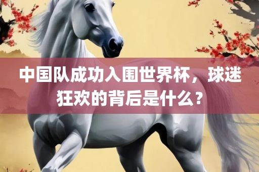 中国队成功入围世界杯，球迷狂欢的背后是什么？