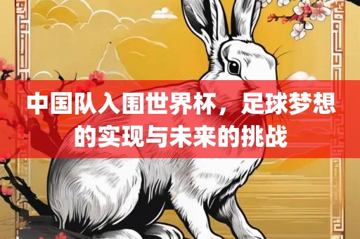 中国队入围世界杯，足球梦想的实现与未来的挑战