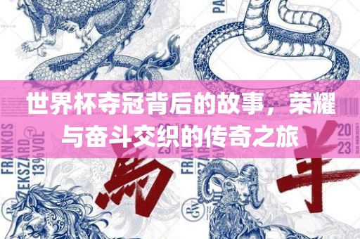 世界杯夺冠背后的故事，荣耀与奋斗交织的传奇之旅吉安市靖泰电力工程有限公司