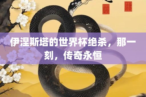 伊涅斯塔的世吉安市靖泰电力工程有限公司界杯绝杀，那一刻，传奇永恒