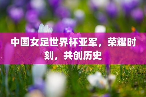 中国女足世界杯亚军，荣耀时刻，共创历史