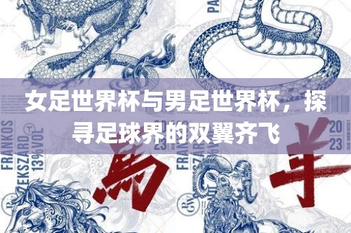 女足世界杯与男足世界杯，探寻足球界的双翼齐飞