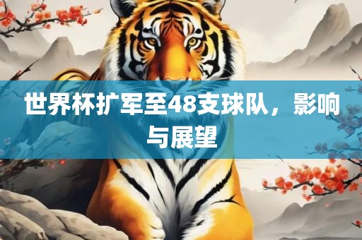 世界杯扩军至48支球队，影响与展望