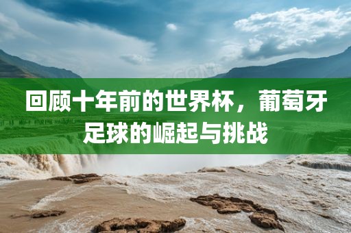 回顾十年前的世界杯，葡萄牙足球的崛起与挑战吉安市靖泰电力工程有限公司