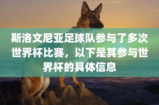 斯洛文尼亚足球队参与了多次世界杯比赛，以下是其参与世界杯的具体信息吉安市靖泰电力工程有限公司