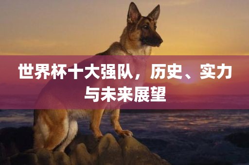 世界杯十大强队，历史、实力与未来展望