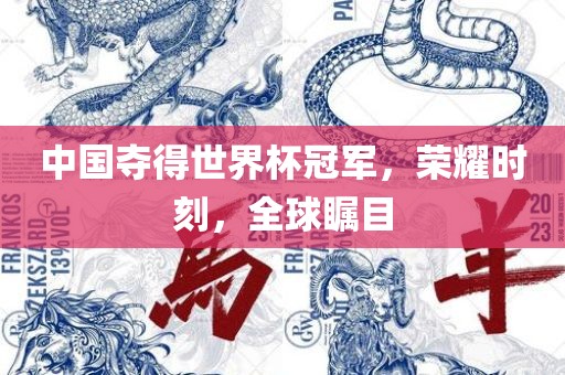 中国夺得世界杯冠军，荣耀时刻，全球瞩目