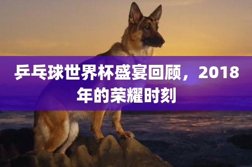 乒乓球世界杯盛宴回顾，2018年的荣耀时刻