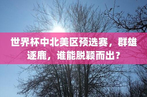 世吉安市靖泰电力工程有限公司界杯中北美区预选赛，群雄逐鹿，谁能脱颖而出？