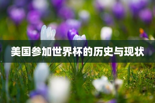 美国参加世界杯的历史与现状吉安市靖泰电力工程有限公司