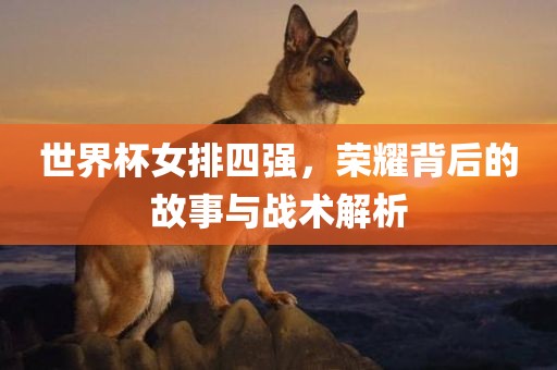 世界杯女排四强，荣耀背后的故事与战术解析