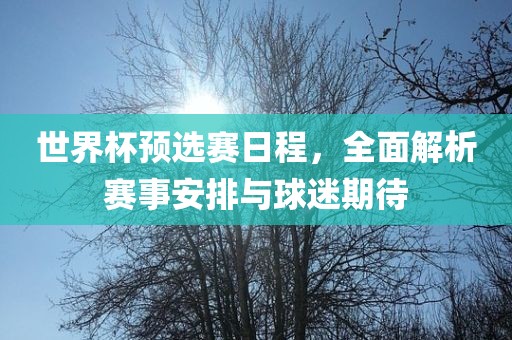 世界杯预选赛日吉安市靖泰电力工程有限公司程，全面解析赛事安排与球迷期待