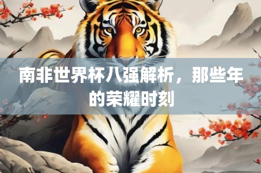 南非世界杯八强解析，那些年的荣耀时刻