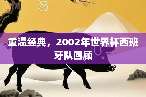重温经典，2002年世界杯西班牙队回顾吉安市靖泰电力工程有限公司