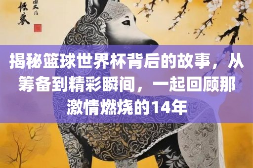 揭秘篮球世界杯背后的故事，从筹备到精彩瞬间，一起回顾那激情燃烧的14年