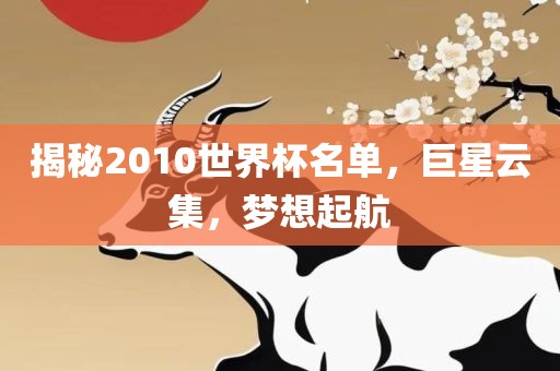 揭秘2010世界杯名单，巨星云集，梦想起航
