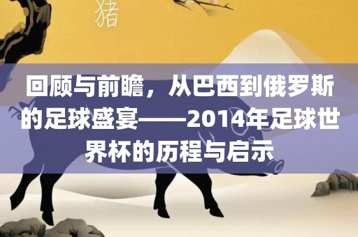 回顾与前瞻，从巴西到俄罗斯的足球盛宴——2014年足球世界杯的历程与启示