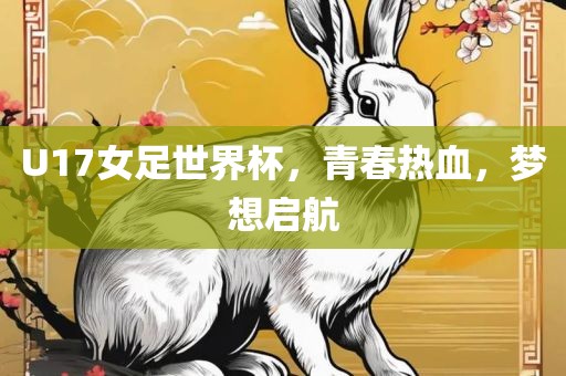 U17女足世界杯，青春热血，梦想启航