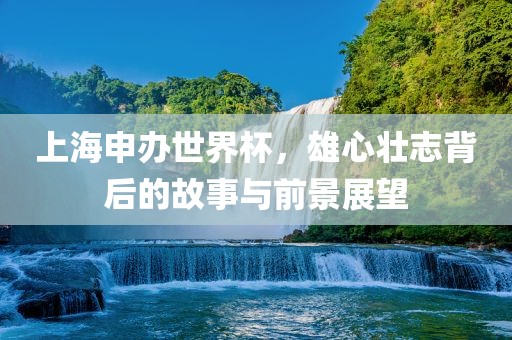 上海申办世界杯，雄心壮志背后的故事与前景展望