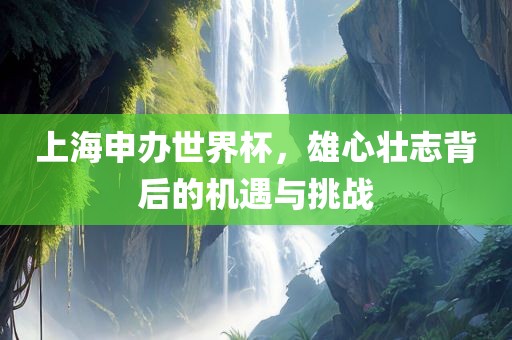 上海申办世界杯，雄心壮志背后的机遇与挑战