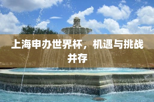 上海申办世界杯，机遇与挑战并存