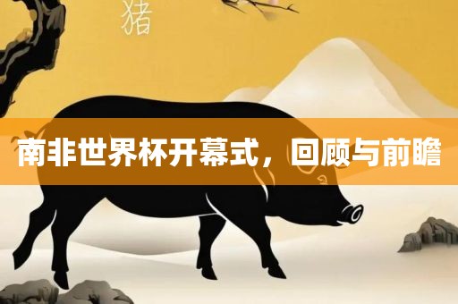 南非世界杯开幕式，回顾与前瞻吉安市靖泰电力工程有限公司