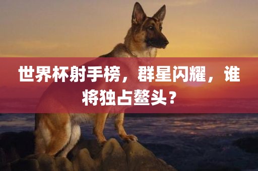 世界杯射手榜，群星闪耀，谁将独占鳌头？