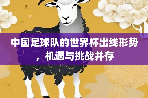 中国足球队的世界杯出线形势，机遇与挑战并存