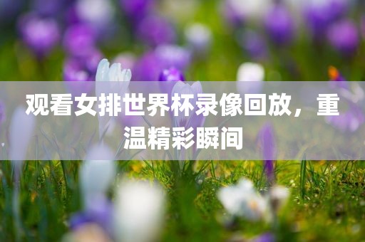 观看女排世界杯录像回放，重温精彩瞬间