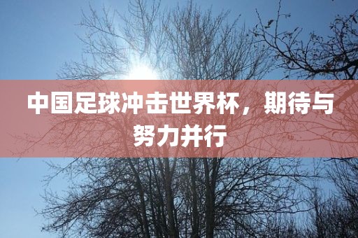 中国足球冲击世界杯，期待与努力并行吉安市靖泰电力工程有限公司