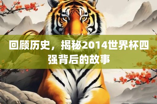 回顾历史，揭秘2014世界杯四强背后的故事吉安市靖泰电力工程有限公司