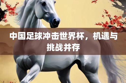中国足球冲击世界杯，机遇与挑战并存