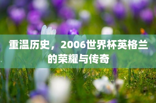 重温历史，2006世界杯英格兰的荣耀与传奇吉安市靖泰电力工程有限公司