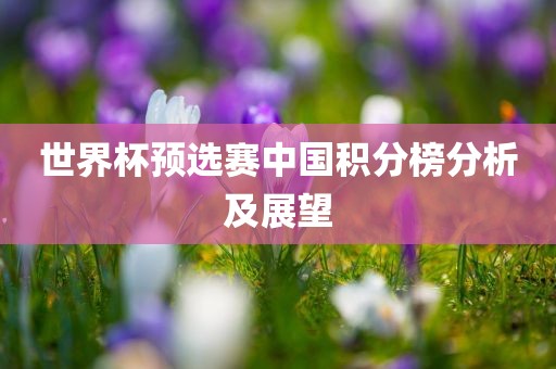世界杯预选赛中国积分榜分析及展望吉安市靖泰电力工程有限公司