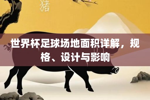 世界杯足球场地面积详解，规格、设计与影响
