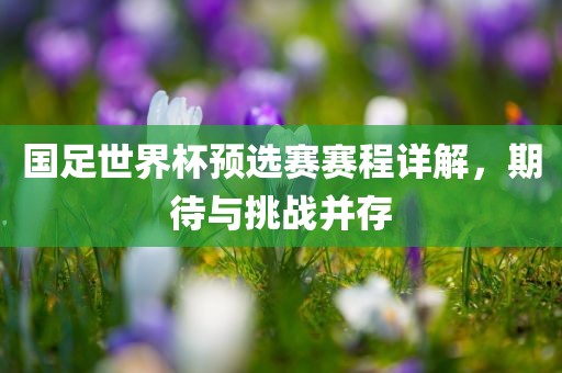 国足世界杯预选赛赛程详解，期待与挑战并存吉安市靖泰电力工程有限公司