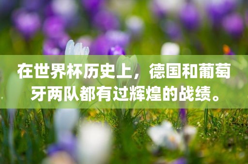 在世界杯历史上，德国和葡萄牙两队都有过辉煌的战绩吉安市靖泰电力工程有限公司。