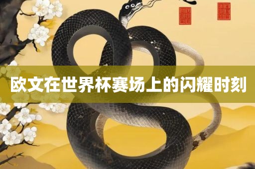 欧文在世界杯赛场上的闪耀时刻