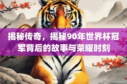 揭秘传奇，揭秘90年世界杯冠军背后的故事与荣耀时刻