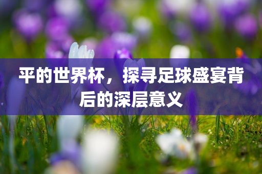 平的世界杯，探寻足球盛宴背后的深层意义