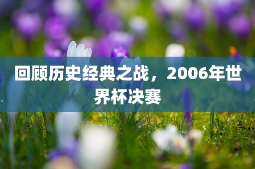 回顾历史经典之战，2006年世界杯决赛吉安市靖泰电力工程有限公司
