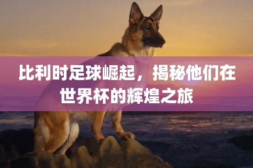 比利时足球崛起，揭秘他们在世界杯的辉煌之旅