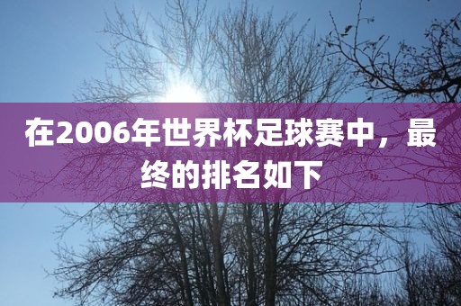 chenyuanwei 第3页