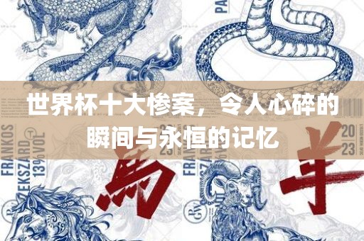 世界杯十大惨案，令人心碎的瞬间与永恒的记忆