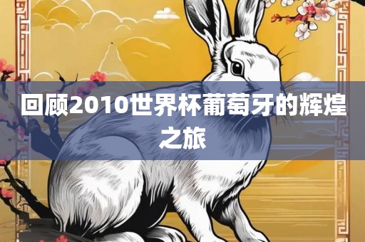 回顾2010世界杯葡萄牙的辉煌之旅吉安市靖泰电力工程有限公司