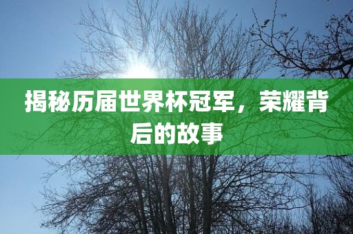 揭秘历届世界杯冠军吉安市靖泰电力工程有限公司，荣耀背后的故事