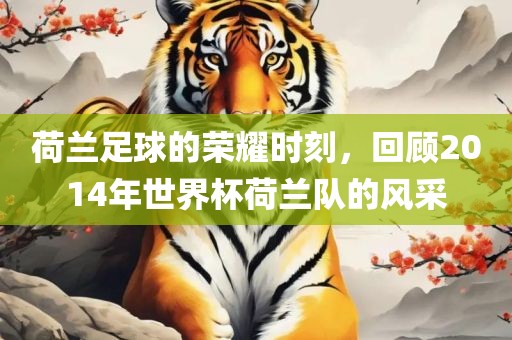 荷兰足球的荣耀时刻，回顾2014年世界杯荷兰队的风采吉安市靖泰电力工程有限公司