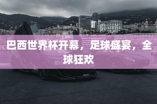 足球盛宴 第5页